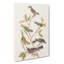 Collection Of Birds - Wrapped Canvas Painting-55370799