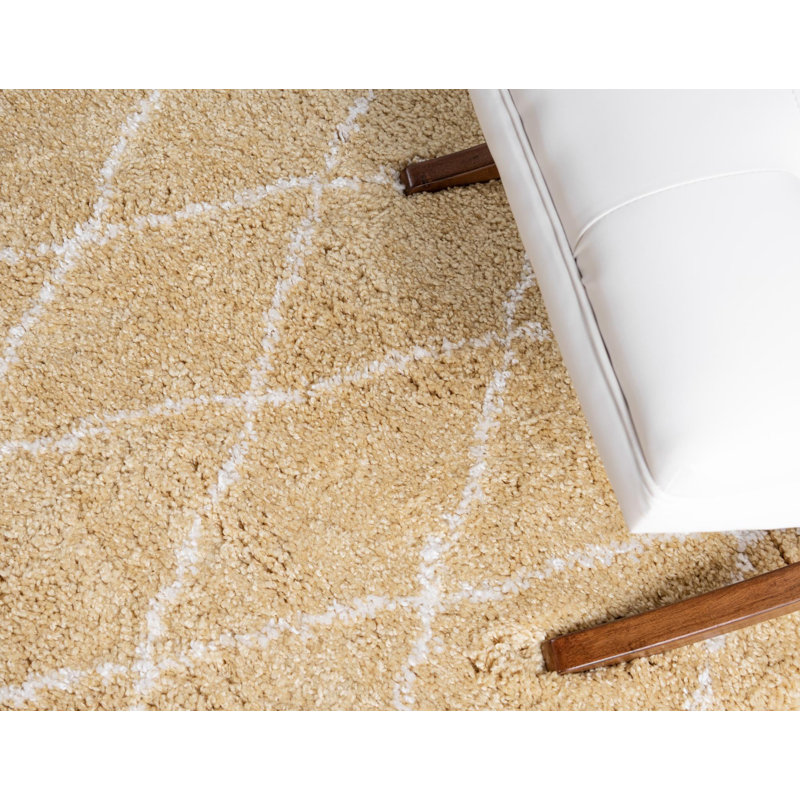 Paquette Trellis Shag Area Rug, Rectangle 122 x 183cm