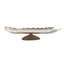 Assiette décorative abstraite Wisley en argent / brun