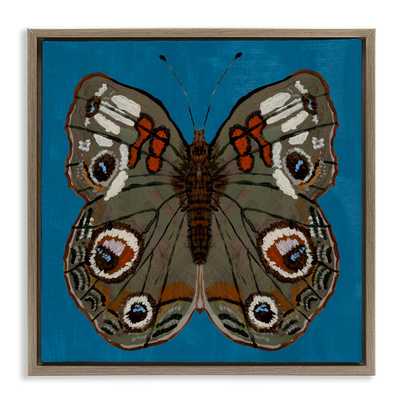 Cadre flottant Buckeye Butterfly Symmetry, design par Kara Keller Designs, H 18 po x l 18 po, Cadre flottant orme Montalcino