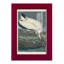 Waverley Pl 216, impression encadrée sur papier-1234225164-1234225165