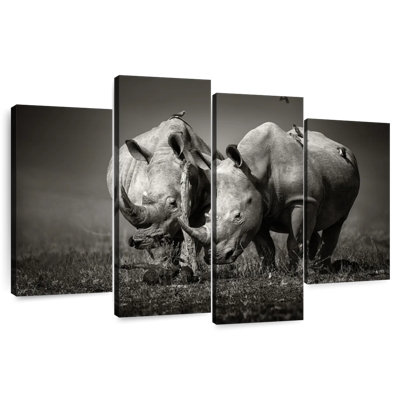 Rhinocéros monochromes Brampt