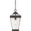 Guilbert Outdoor Hanging Lantern-755828258