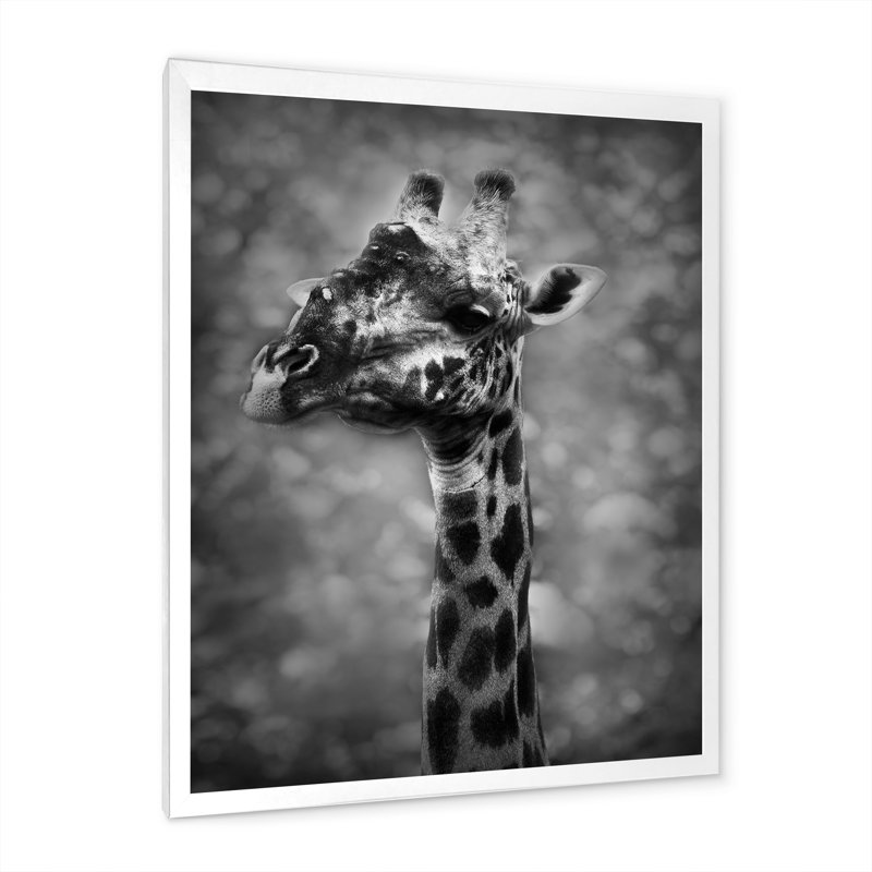 Girafe africaine en noir et blanc - reproduction d'art sur toile, H 36 po x l 24 po x P 1 po, Cadre photo blanc