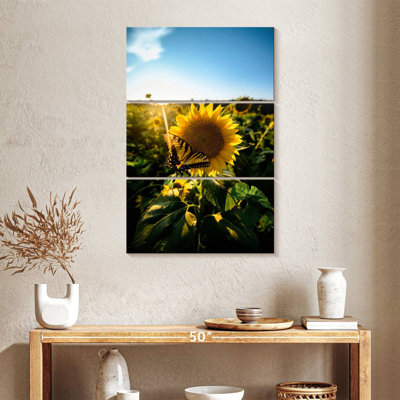 Harnek Sunflower Love