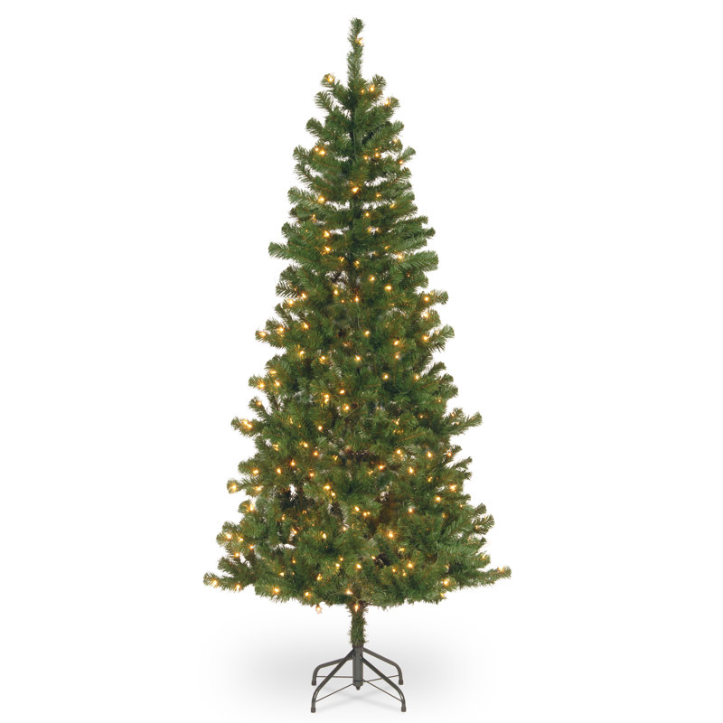 Grand sapin canadien avec lumières claires, H 6,5 pi