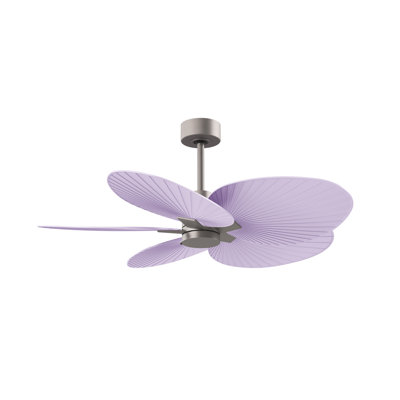 Alessandra - Five Blade Ceiling Fan