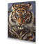 Canvas Wall Art-221584197