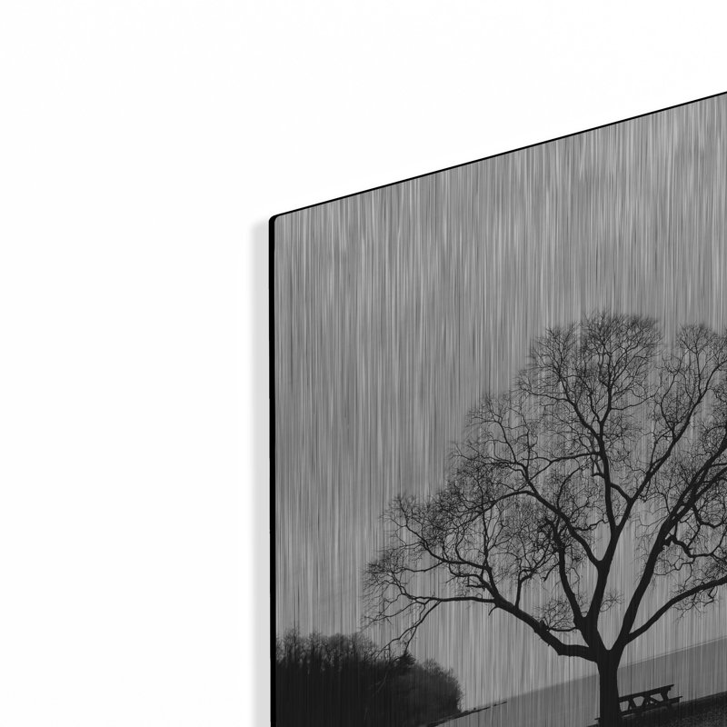«Picnic Tree» par Photoinc Studio, art mural en métal, H 12 po x l 16 po