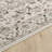 Losh Oriental Performance Traditional Vintage Area Rug in Brown/Beige/Cream-980560646