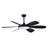 Novah 52'' Ceiling Fan with LED Lights-458382514