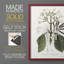 Tropical Botanical IV, reproduction encadrée - bois massif-112364852-112364854