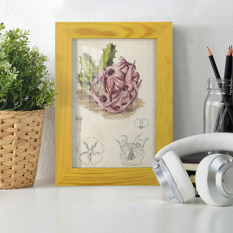 Cactus antique III, impression sur papier, H 6 po x l 4 po x P 1 po, Jaune