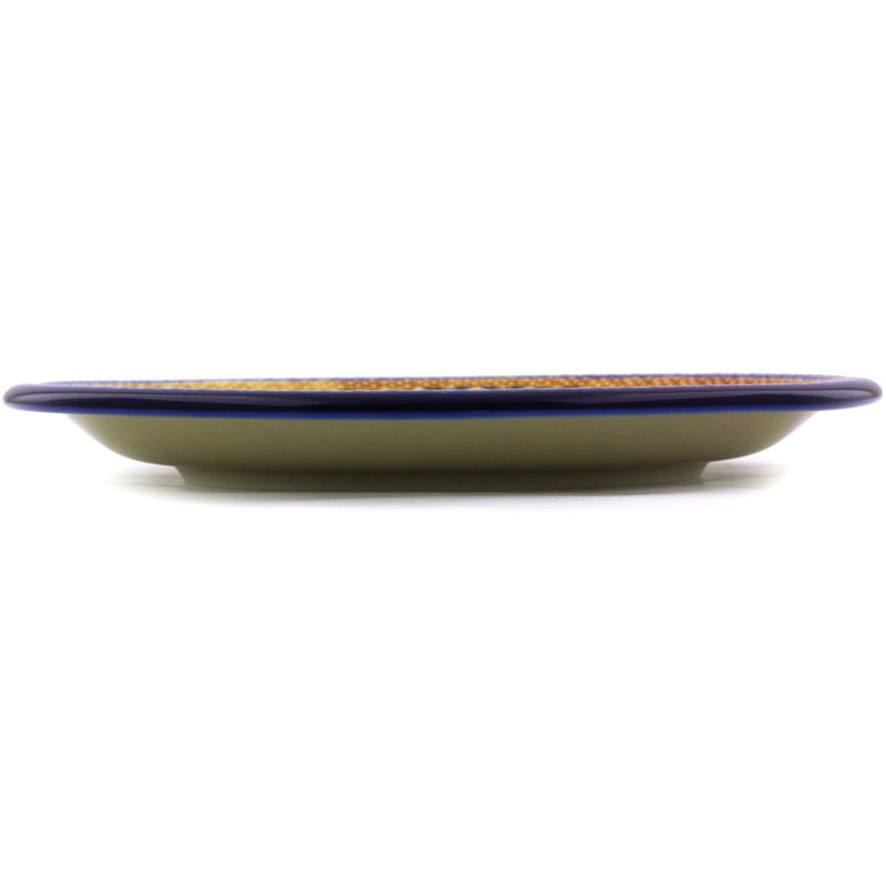 Stoneware Dinner Plate