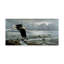 Berrien «Low Tide Bald Eagle», reproduction d'impression sur toile tendue-27647048