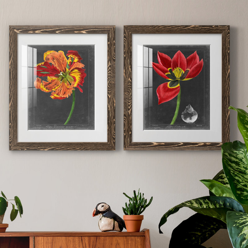 «Midnight Tulip» IPémium, reproduction encadrée - prête à être accrochée, H 20 po x l 17 po x P 1 po, Papier, cadre noyer