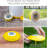 Anti-Skid Hybrid Feeder/Toy