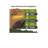 Fatwood Fire Starter Sticks - 100% Natural - 28LBS
