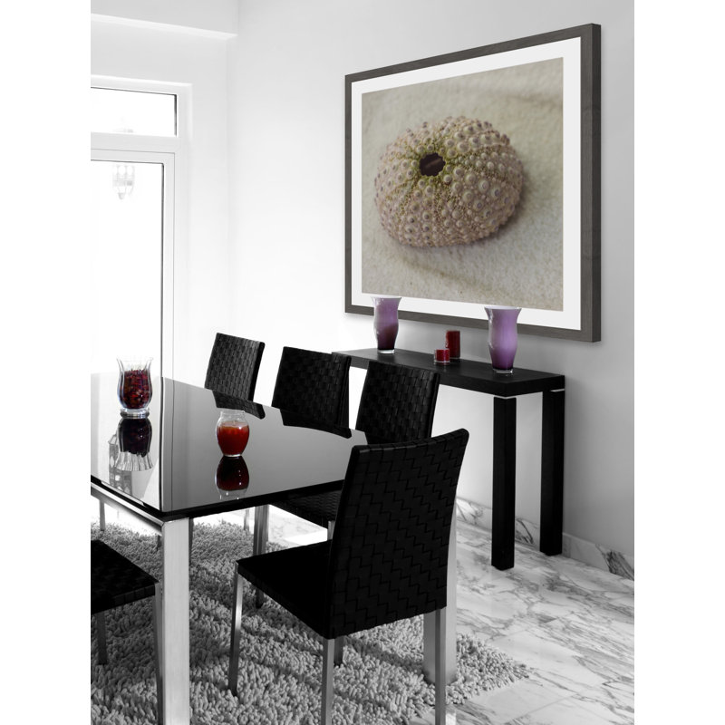 «Chiffon Urchin Shell», reproduction encadrée, H 18 po x l 18 po x P 1,5 po