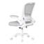 Chaises de bureau