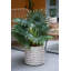Ensemble de 2 pots à fleurs Mosley-1629223541