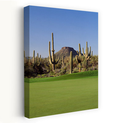 Cactus Saguaro dans un terrain de golf, club de golf de Troon North, Scottsdale, Maricopa County, Arizona, États-Unis, abstrait, cactus contemporain, paysage, art naturel