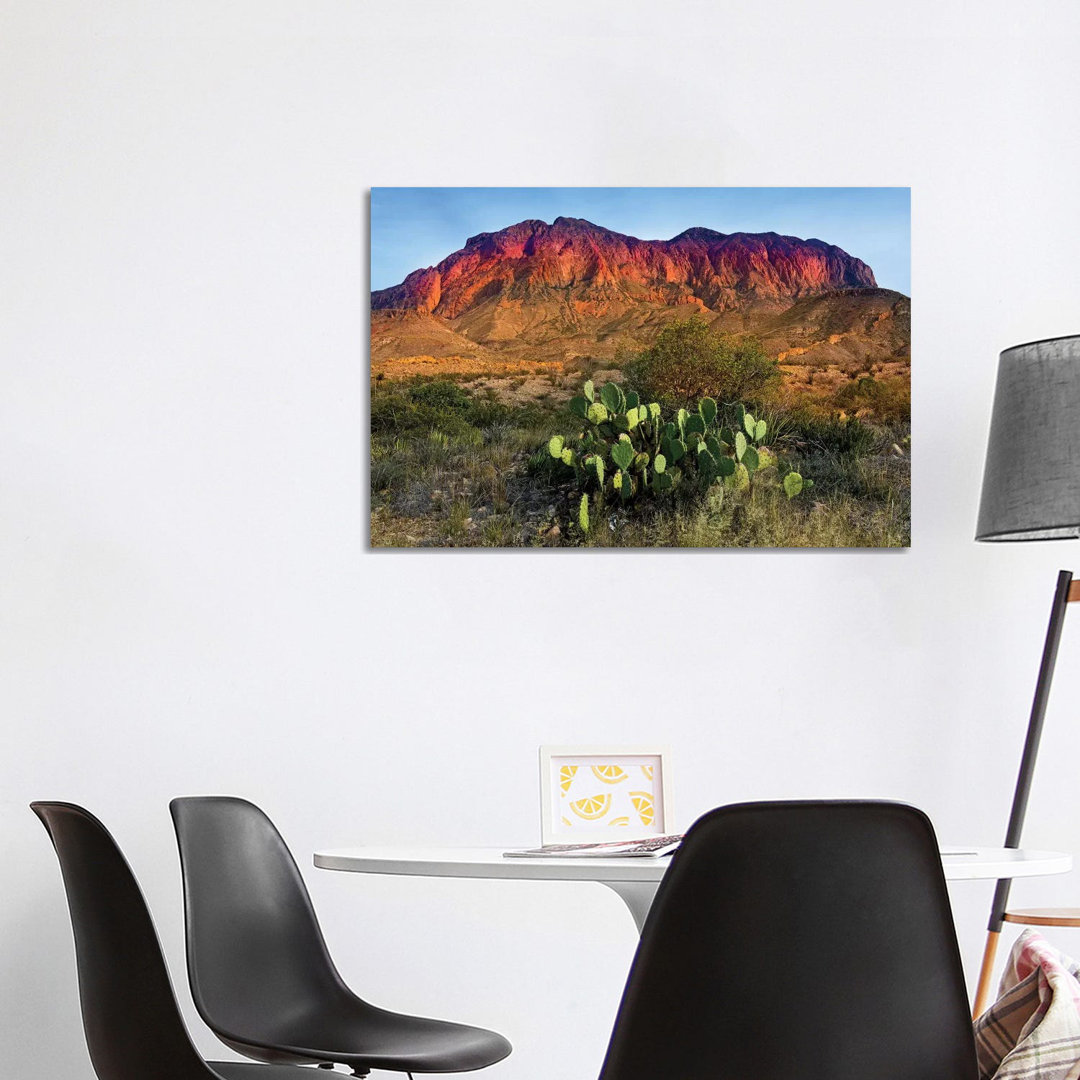 Chisos Mountains With Prickly Pear Cactus IV von Susanne Kremer - Gallery-Wrapped Canvas Giclée