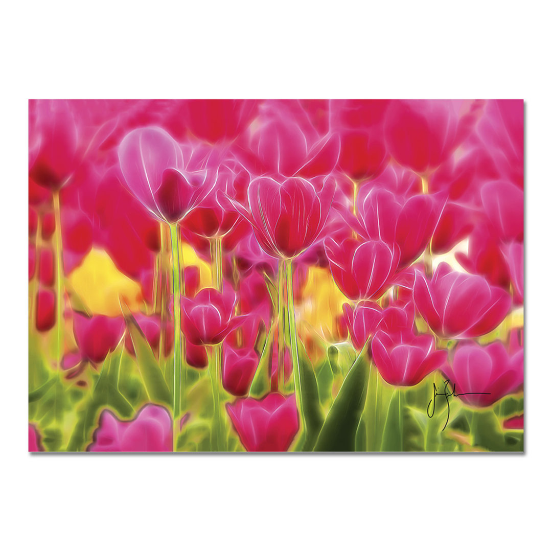 Grafikdruck Exotic Tulips von Jim Zuckerman