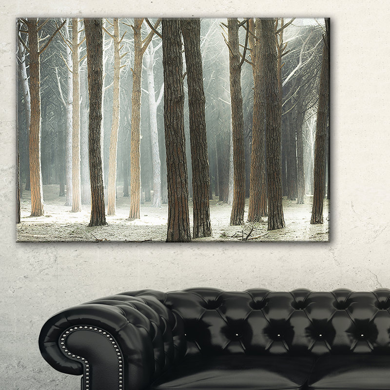 Design Art Maritime Pine Tree Forest with Rays Photographic Print on Wrapped Canvas