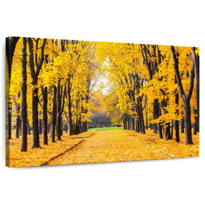 Chemin d'automne doré Alvord