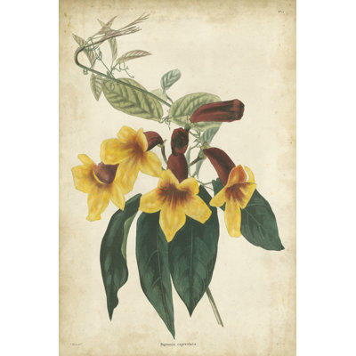 Tropical Floral VI 1 Piece Wrapped Canvas Wall Art