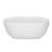 67'' x 31'' Freestanding Soaking Acrylic Bathtub