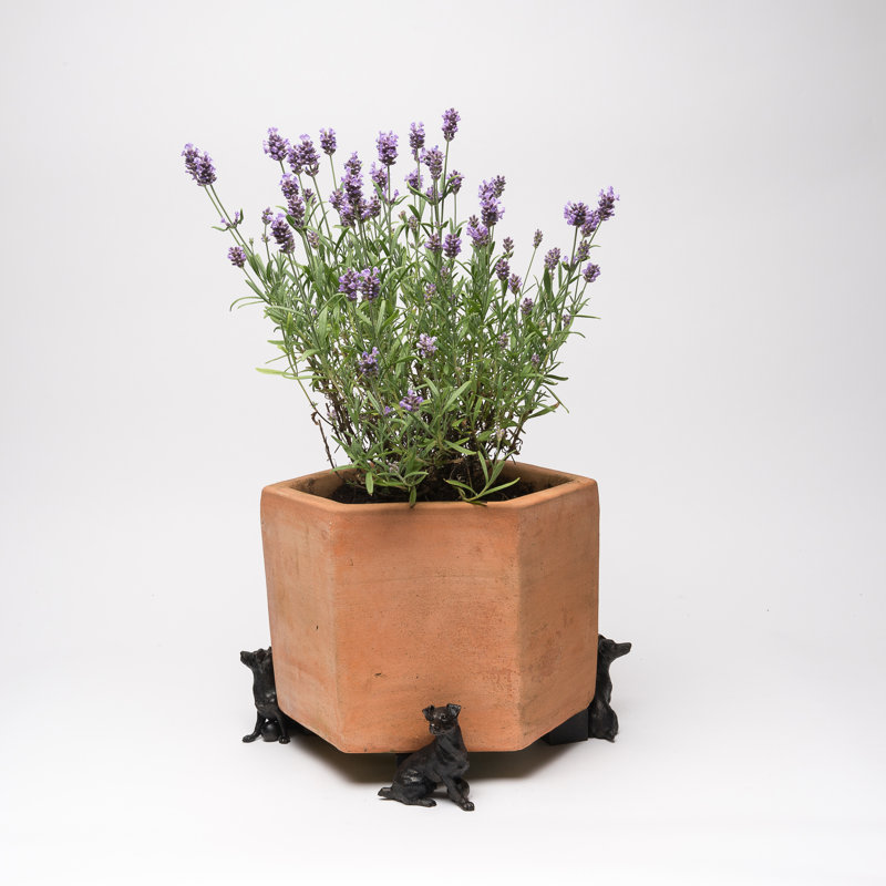 Astra Weather Resistant Planter Feet