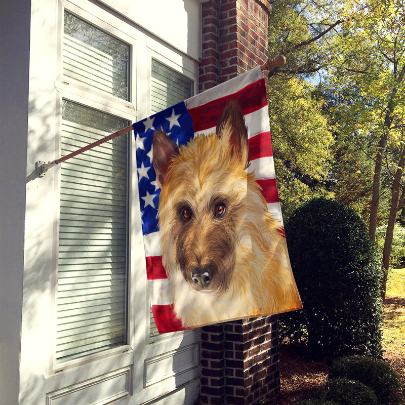 Polyester à 2 côtés 28 x 40 po drapeau maison, Laekenois belge