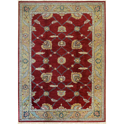Enchanting Red Hand Knotted Wool Area Rug