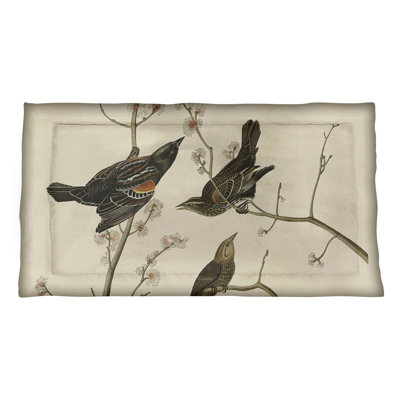 John James Audubon Winged Starling Pillow Sham