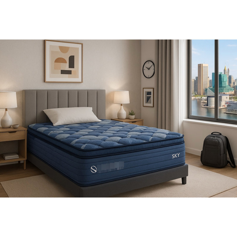 Trinx King Innerspring Mattress