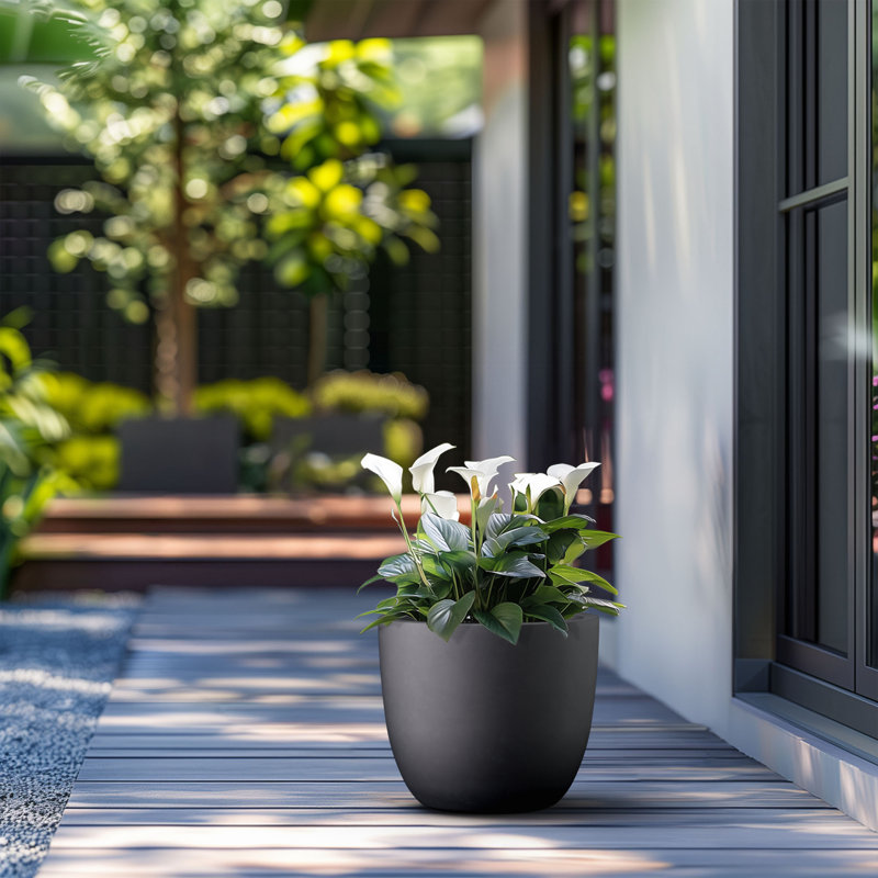 Pot à fleurs fait à la main Larney, H 11,81 po x l 13,78 po x P 13,78 po, Noir anthracite