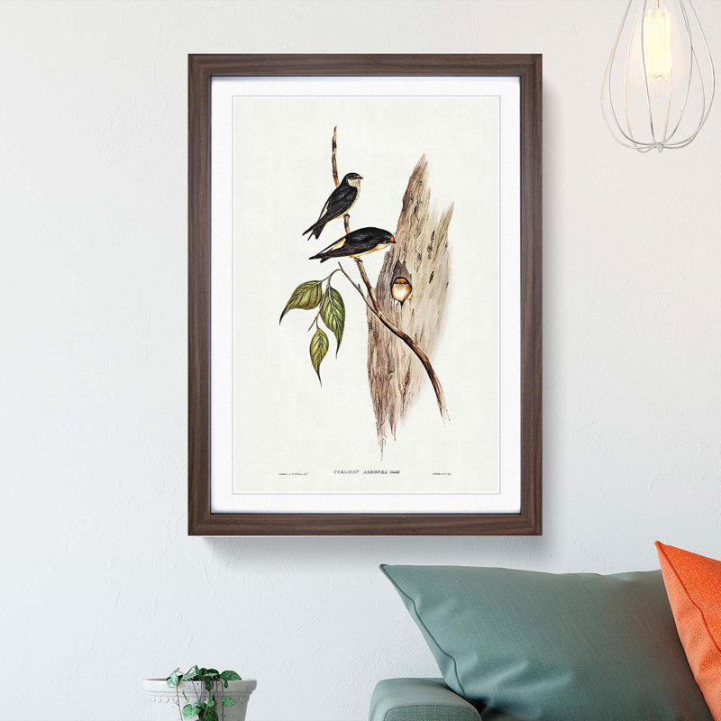 Tree Martins by Elizabeth Gould - Picture Frame Painting Print, 48cm H x 36cm W x 2cm D, Walnut Framed