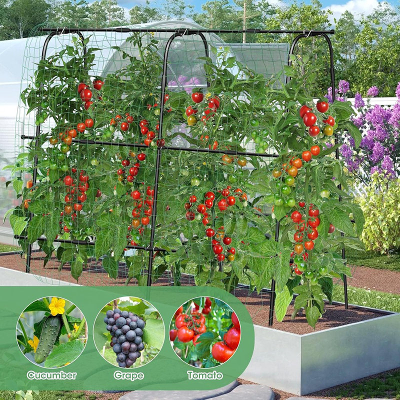 Trellis For Garden Vegetable Trellis,63" X 63" U-Shaped...
