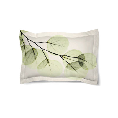 Taie décorative Eucalyptus