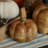 Camerson Handmade Pumpkin Figurine / Sculpture