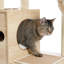 Meuble chat moderne de luxe pour chat