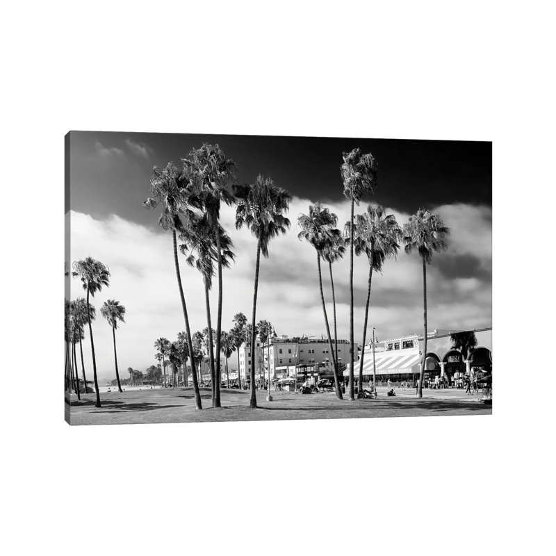 Venice Beach Palm Trees by Philippe Hugonnard - Wrapped Canvas Print, 30.48 cm H x 45.72 cm W