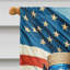 Drapeau «All American House»-112702465