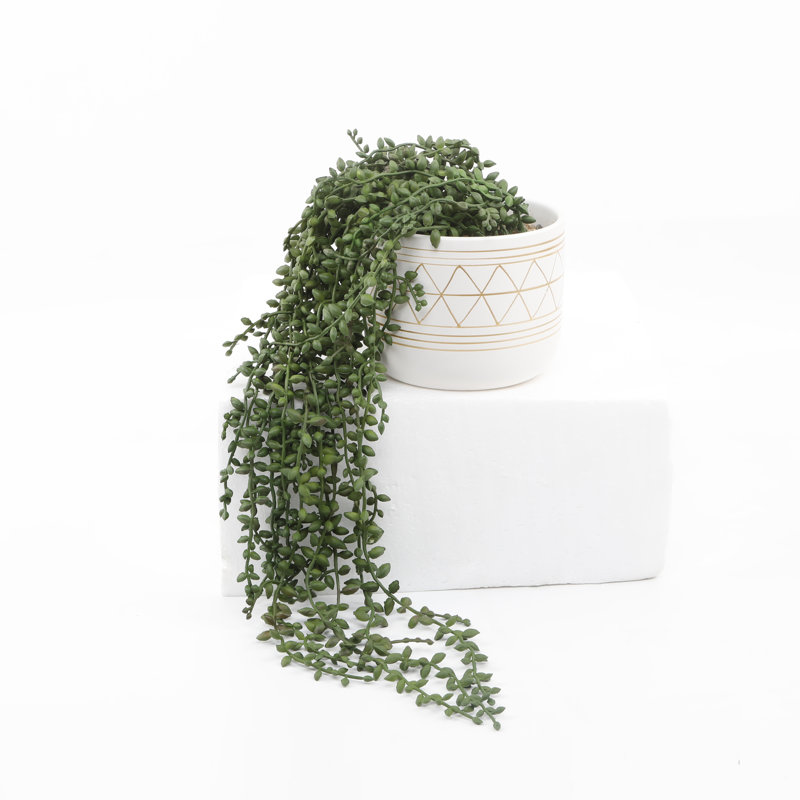 Plante grasse artificielle 15,5 po en pot