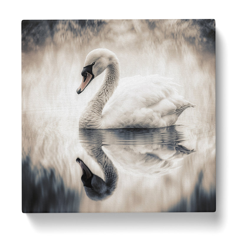 Swan Double Exposure No.1 - Wrapped Canvas, 50cm H x 50cm W x 3cm D