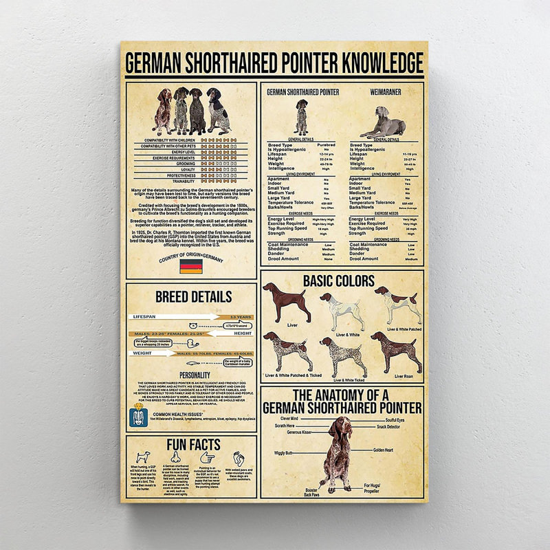 Art textuel sur toile «German Shorthaired Pointer», H 36 po x l 24 po x P 1,25 po