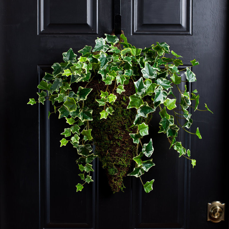 Panier à plantes 22 po