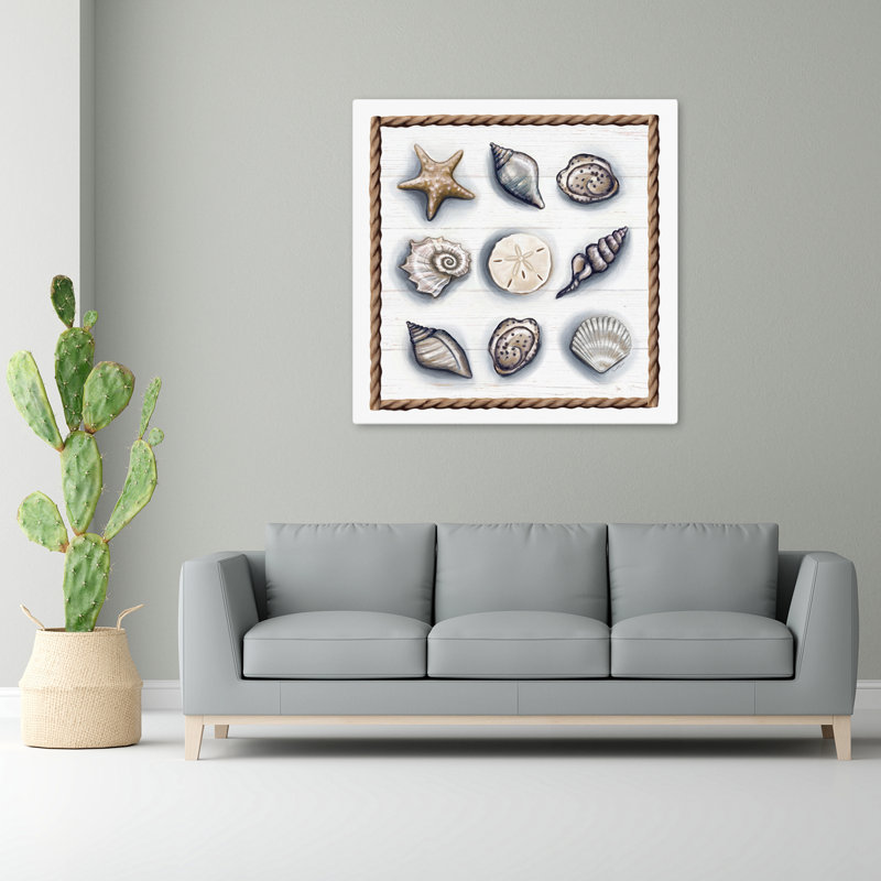 Beach Shells Ii Coastal Beach Shell Art, 48" H x 48" W